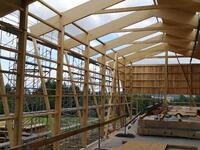 IMG_20210714_161145.jpg