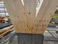 IMG-20250603-WA0016.jpg