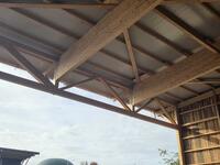 WhatsApp Image 2025-10-22 at 11.54.04.jpeg