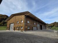 WhatsApp Image 2025-10-22 at 12.00.46.jpeg