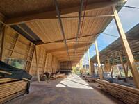 WhatsApp Image 2025-10-22 at 12.01.47.jpeg