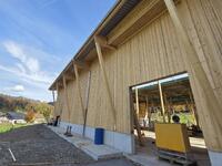 WhatsApp Image 2025-10-22 at 12.01.47 (1).jpeg