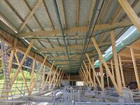 WhatsApp Image 2025-10-22 at 12.01.49 (2).jpeg